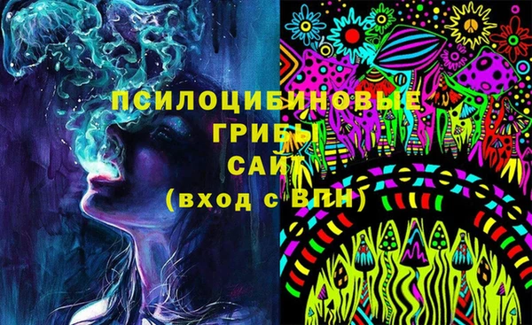 твердый Алексин