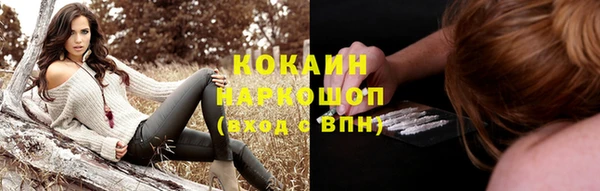 твердый Алексин