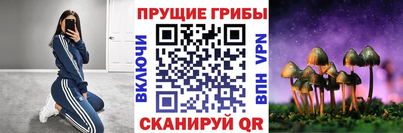 Галлюциногенные грибы MAGIC MUSHROOMS  купить наркотики цена  сайты даркнета как зайти  Большой Камень 